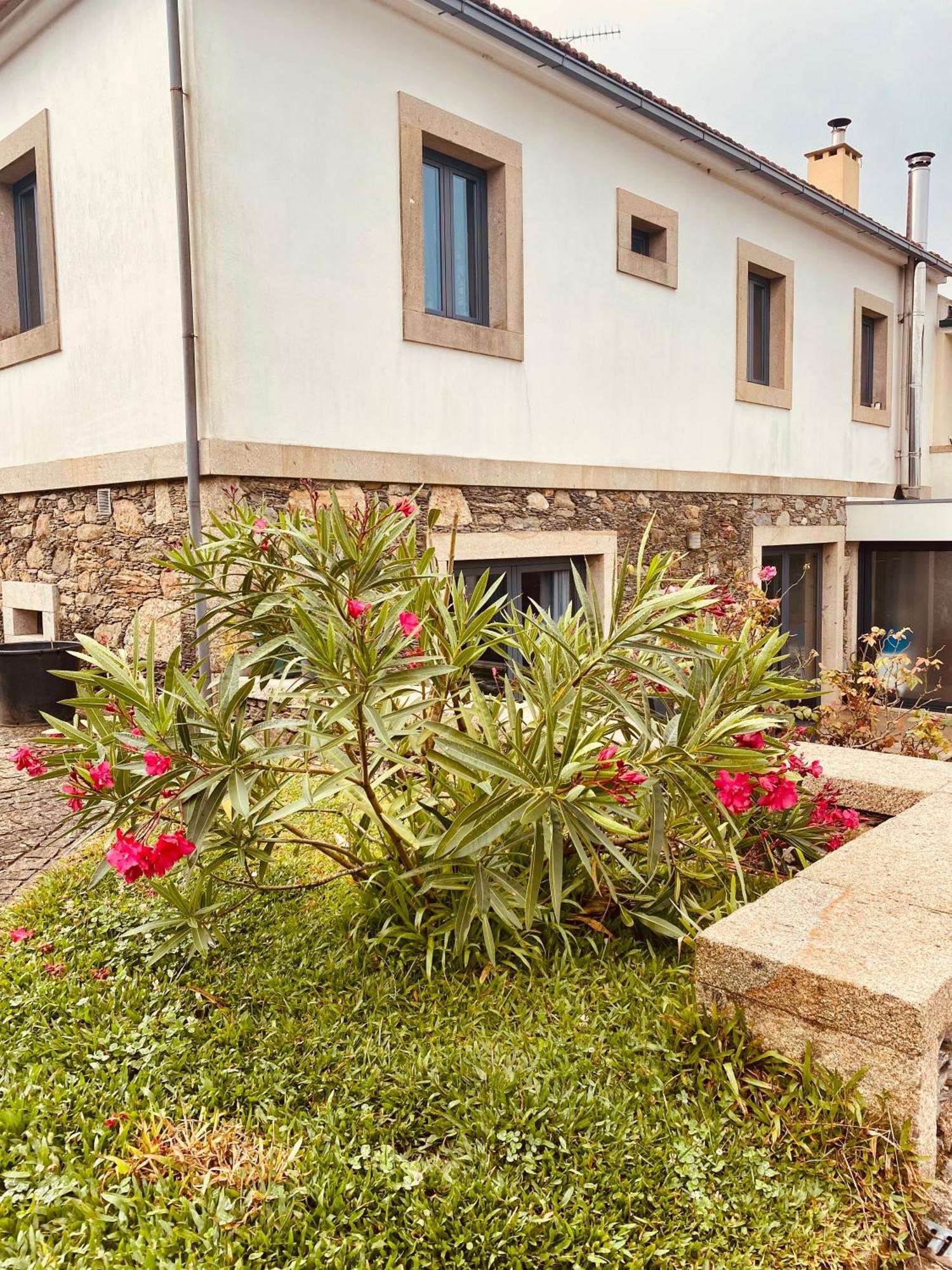 Montaria Serra De Arga Mountain House מראה חיצוני תמונה